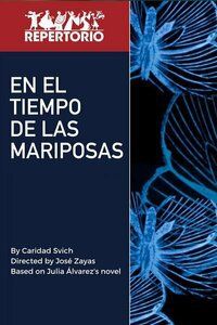 En el tiempo de las mariposas poster