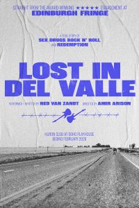 Lost in Del Valle poster