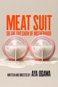 Meat Suit, or the shitshow of motherhood poster